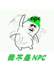 我不是NPC